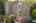 Blurred preview of media: Aerial 03