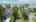 Blurred preview of media: DJI_0335