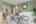 Blurred preview of media: IMG_3576