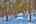 Blurred preview of media: IMG_0485_6_7_easyHDR