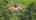 Blurred preview of media: DJI_0776