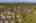 Blurred preview of media: Aerial 23 Marker