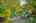 Blurred preview of media: 106 Cranarch Landing SE-44