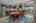 Blurred preview of media: 12