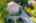 Blurred preview of media: 20250908L_lg_JW0087