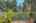 Blurred preview of media: 1-27