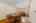 Blurred preview of media: 56 Brookdale Road Newton Massachusetts Job 40342 0016