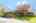 Blurred preview of media: 99 Beaver Road Reading Massachusetts Job 39079 0018