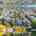 Blurred preview of media: 98 G Street unit 4 Boston Massachusetts Job 41315 0046