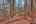 Blurred preview of media: IMG_0644_5_6_easyHDR
