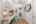 Blurred preview of media: 37 Fir (29)