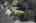 Blurred preview of media: DJI_0760.jpgee