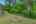 Blurred preview of media: 1472 Dunns Lake Dr-67