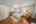 Blurred preview of media: DSC09038