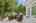 Blurred preview of media: 1-41