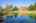 Blurred preview of media: IMG_1334