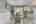 Blurred preview of media: IMG_3534