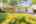 Blurred preview of media: 7 Wallis Ave, Smithville _ Nathan Ferro7