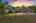 Blurred preview of media: 003