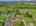 Blurred preview of media: 25-prospect-avenue-andover-nj-usa-drone-005
