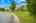 Blurred preview of media: 1-826-2227