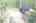 Blurred preview of media: DJI_0512