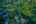 Blurred preview of media: 4Sept0015