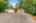 Blurred preview of media: 18