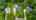 Blurred preview of media: 19625 Callaway Hills Ln-2