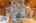 Blurred preview of media: 243 Concord Road Westford Massachusetts Job 38085 0052