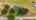 Blurred preview of media: 20141-7