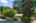 Blurred preview of media: 1-41