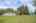 Blurred preview of media: IMG_1229