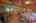 Blurred preview of media: IMG_4481_2_3