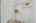Blurred preview of media: DSC06141