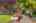 Blurred preview of media: Aerial 01