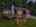 Blurred preview of media: Image Sep 14, 2026 at 11_17_13 AM