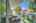 Blurred preview of media: DSC06460