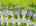 Blurred preview of media: 2-826-0582