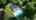 Blurred preview of media: 69
