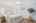 Blurred preview of media: 38