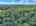 Blurred preview of media: DJI_20260829152418_0414_D_5_D_6_D_easyHDR