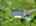 Blurred preview of media: DJI_20260516140446_0920_D_1_D_2_D_easyHDR