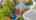 Blurred preview of media: 95