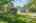 Blurred preview of media: _RKJ4272