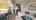 Blurred preview of media: Unknown media