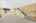 Blurred preview of media: 2-726-1389