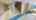 Blurred preview of media: Gateway-Head-Start-05262017_071631
