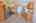 Blurred preview of media: IMG_1111_2_3