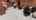 Blurred preview of media: Jarett-Mutts-Photography-06082018_082127